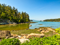 P6070744-SHCOODIC PENINNSULA