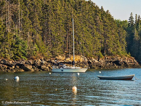 P6070792-Seal Cove