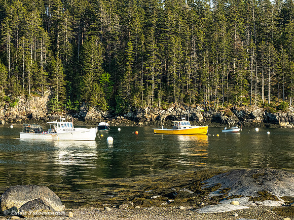 P6070793-Seal Cove 2