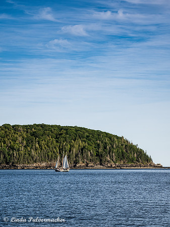 P6101193-Sailing On Bar Harbor Bay