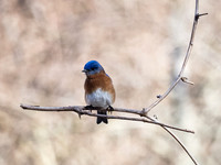 P2261980-Edit