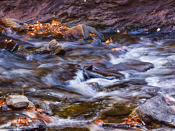 PB031084-Looking Glass falls Brook