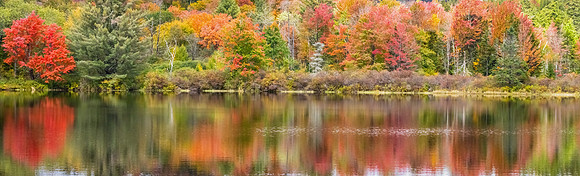 PA061339-Pano-Hap Good Pond Reflections