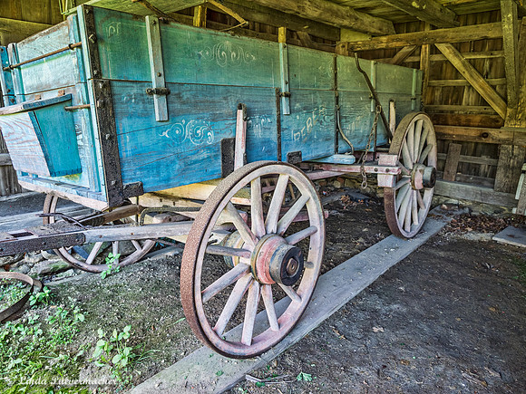 P8100381-Wagon