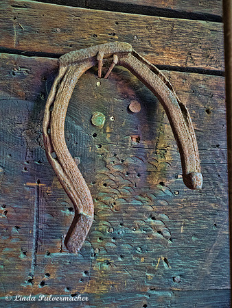 P8100434-Horse Shoe