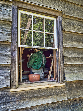 P8100460-Through The Window