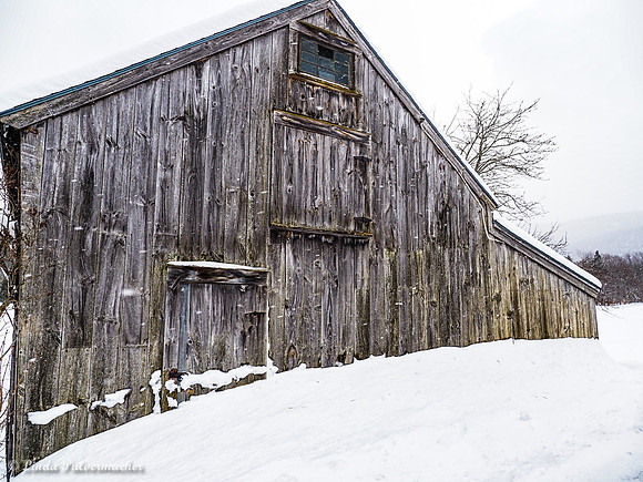 P1180012-Edit