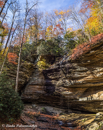 PB031135-Gorge NC