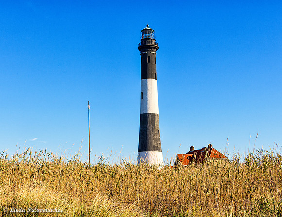 _DSC2129-View From The bay