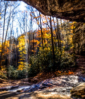 PB031114-Painting  1 Gorge
