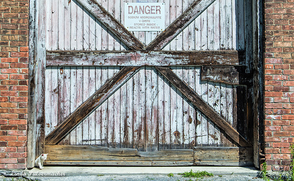 _DSC0373