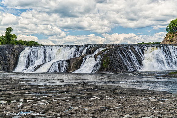 _DSC0423