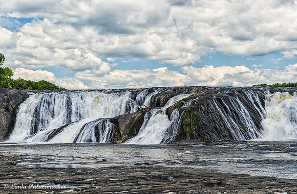 _DSC0423