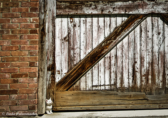 _DSC0375