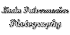 Linda Pulvermacher